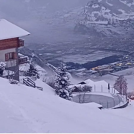 Coppex App Dans - Sunny 5 Pers Вейзона