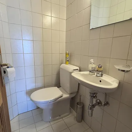 Coppex App Dans - Sunny 5 Pers Lejlighed Veysonnaz